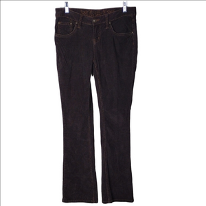 Squeeze Jeans Dark Brown Five Pocket Low Rise Button Up Flare Leg Corduroy Jean